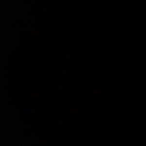 Meet your Posher, Nichelle